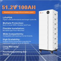 FelicityESS LUX-X-48100LG01